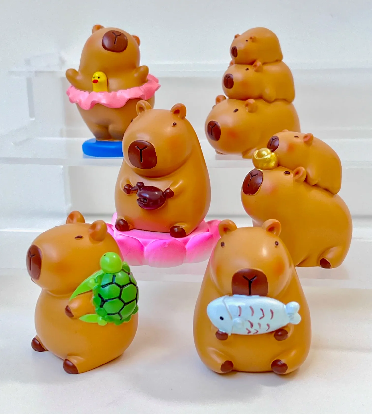 71030 CAPYBARA LIFE FIGURINE BLIND BOX-6