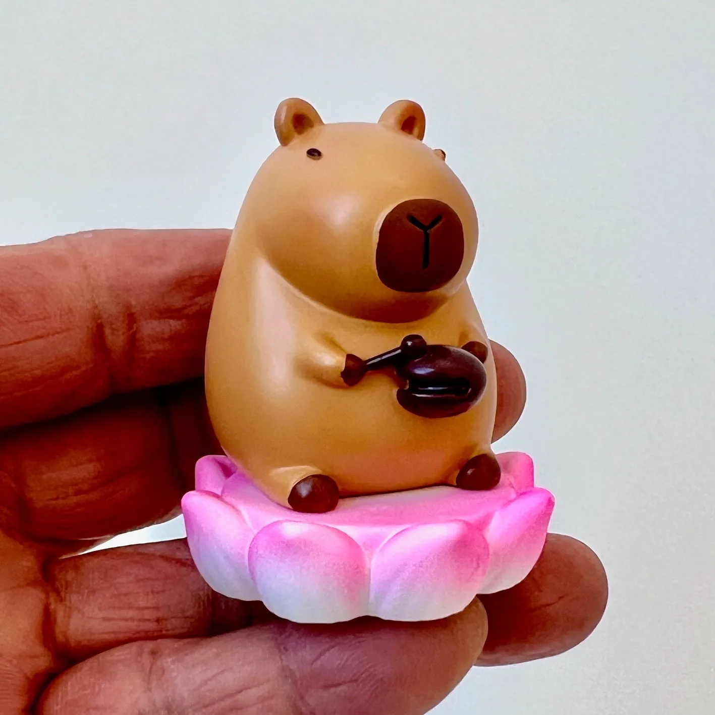 71030 CAPYBARA LIFE FIGURINE BLIND BOX-6