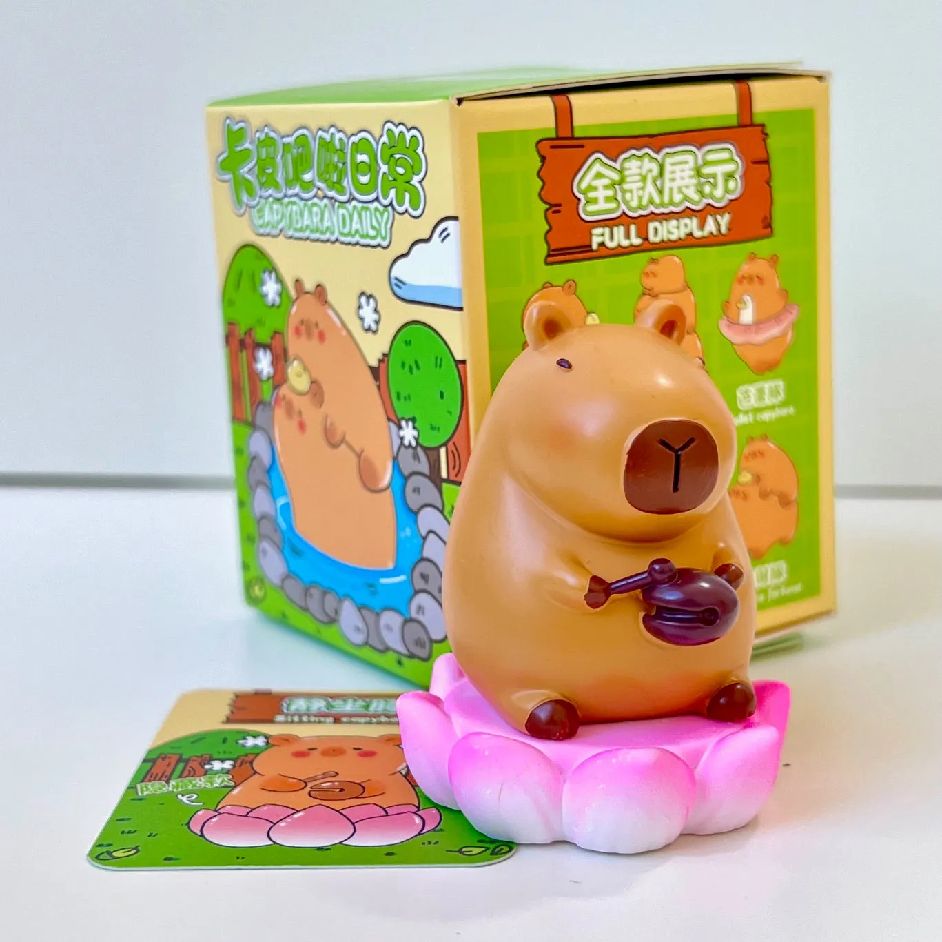 71030 CAPYBARA LIFE FIGURINE BLIND BOX-6