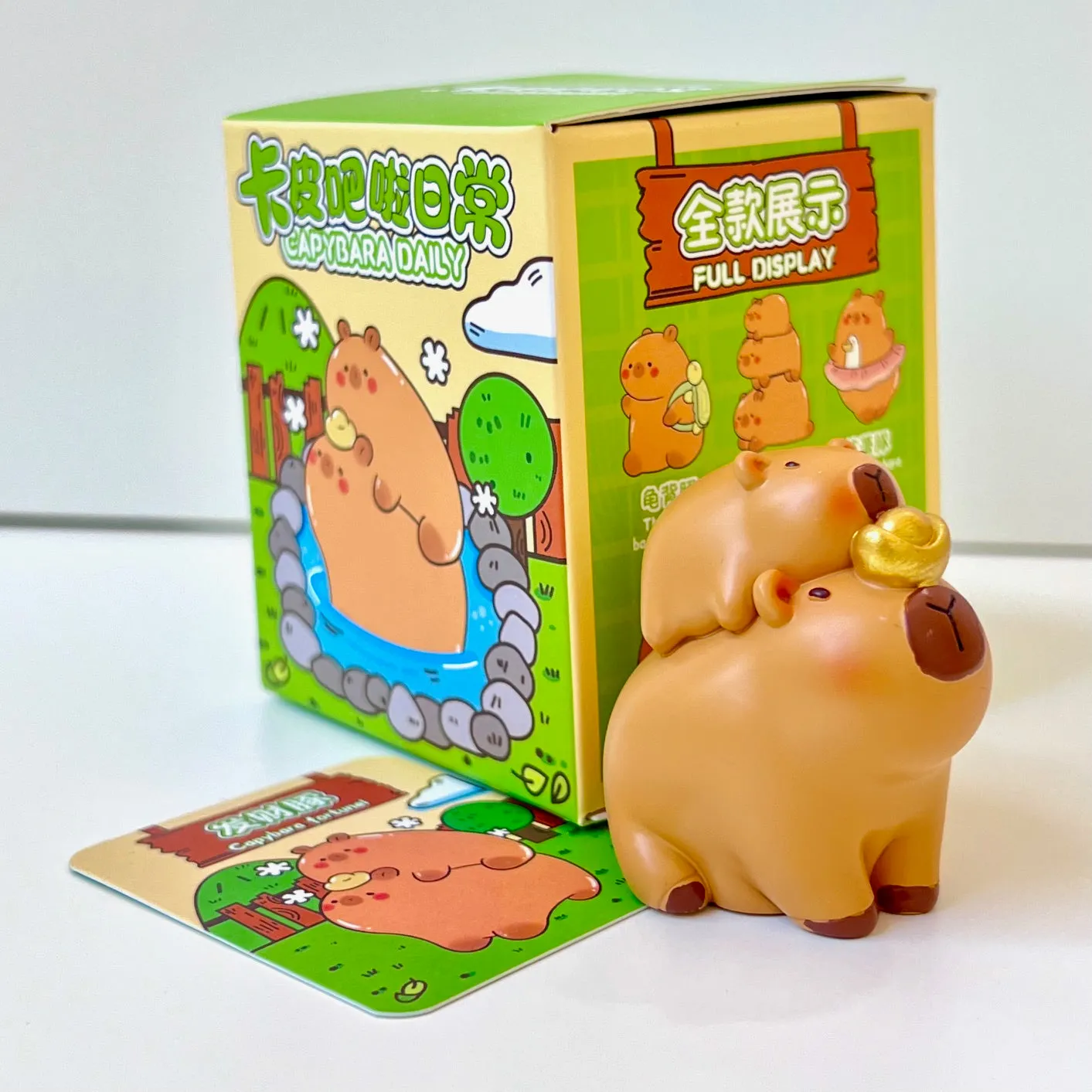 71030 CAPYBARA LIFE FIGURINE BLIND BOX-6