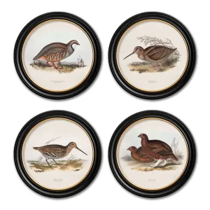 British Game Birds – Oxford Round Framed Print