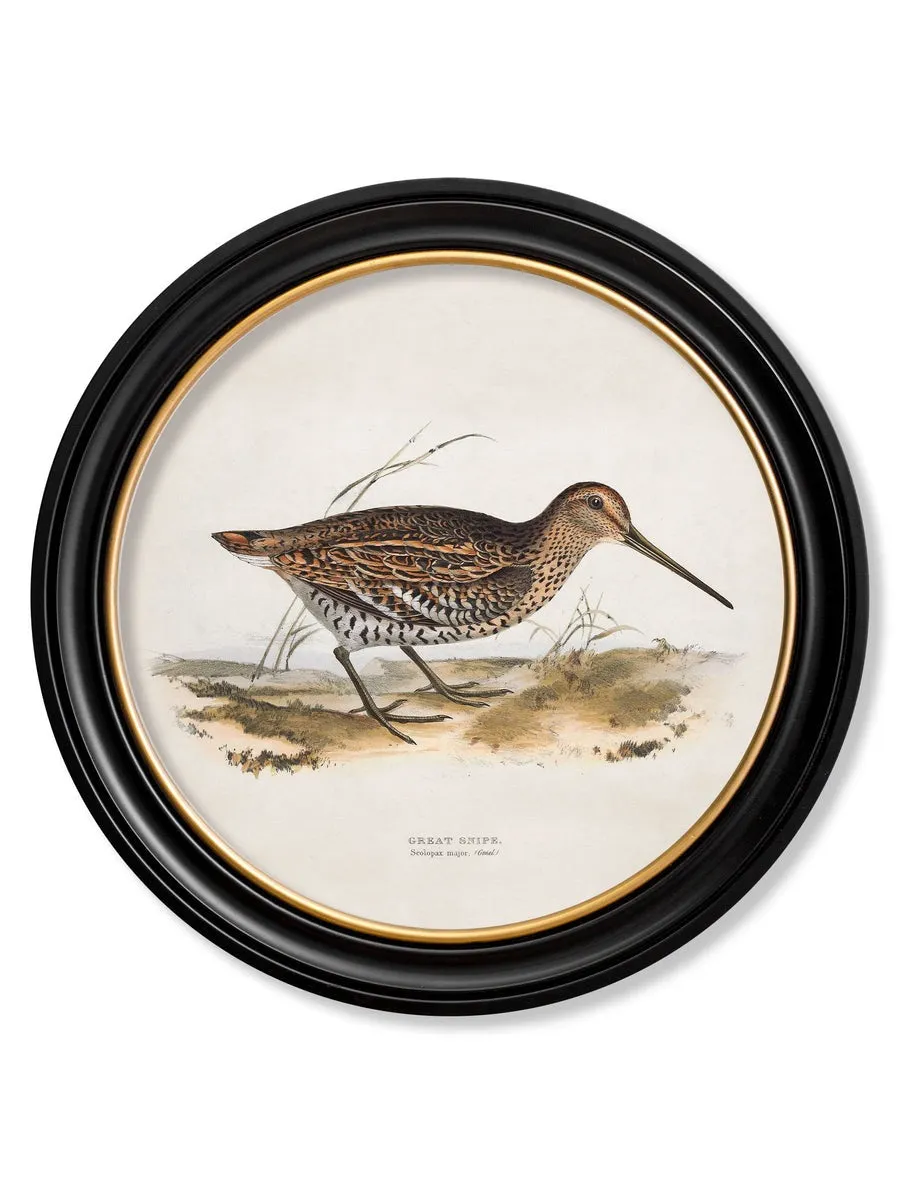 British Game Birds – Oxford Round Framed Print