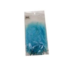 FTERA 20PCS LIGHT BLUE