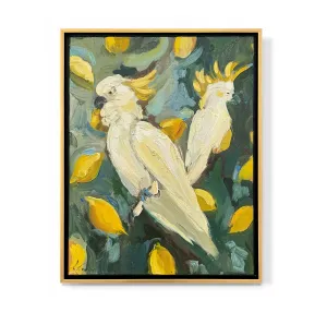 "Cockatoo Portraits"