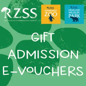 RZSS Gift Admission E-Voucher