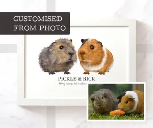 Two Guinea Pigs Pet Print - Personalised Colour From Photo